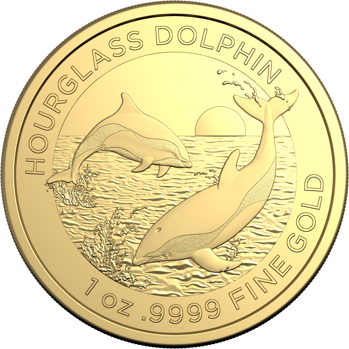 Investment Coins Gold 2024 One Hundred Dollars Hourglass Dolphin