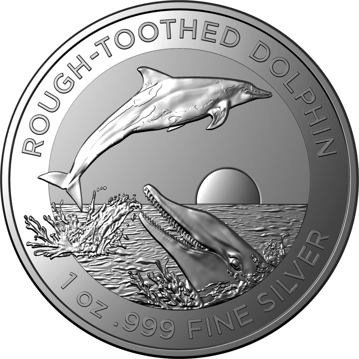 Investment Coins Silver 2023 One Dollar Rough Toothed Dolphin