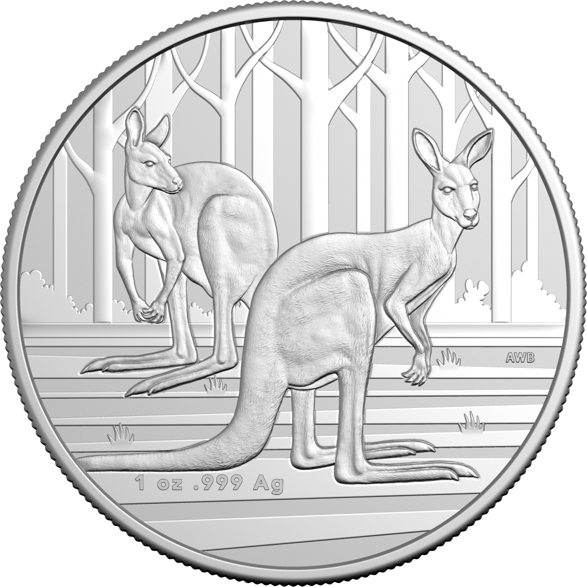 Investment Coins Silver 2024 One Dollar Kangaroo Series