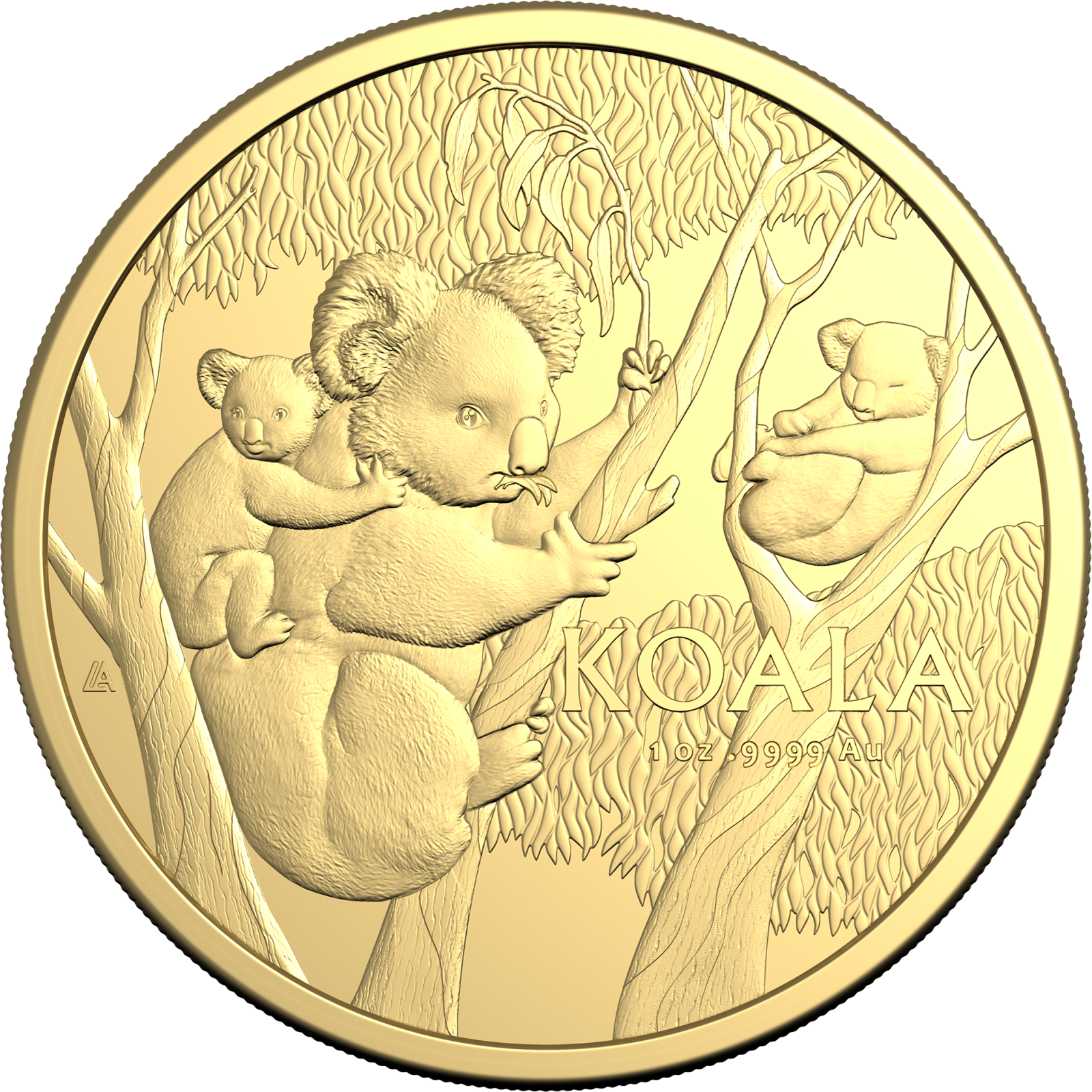 The Koala Returns: Introducing the 2026 Koala Series | Royal