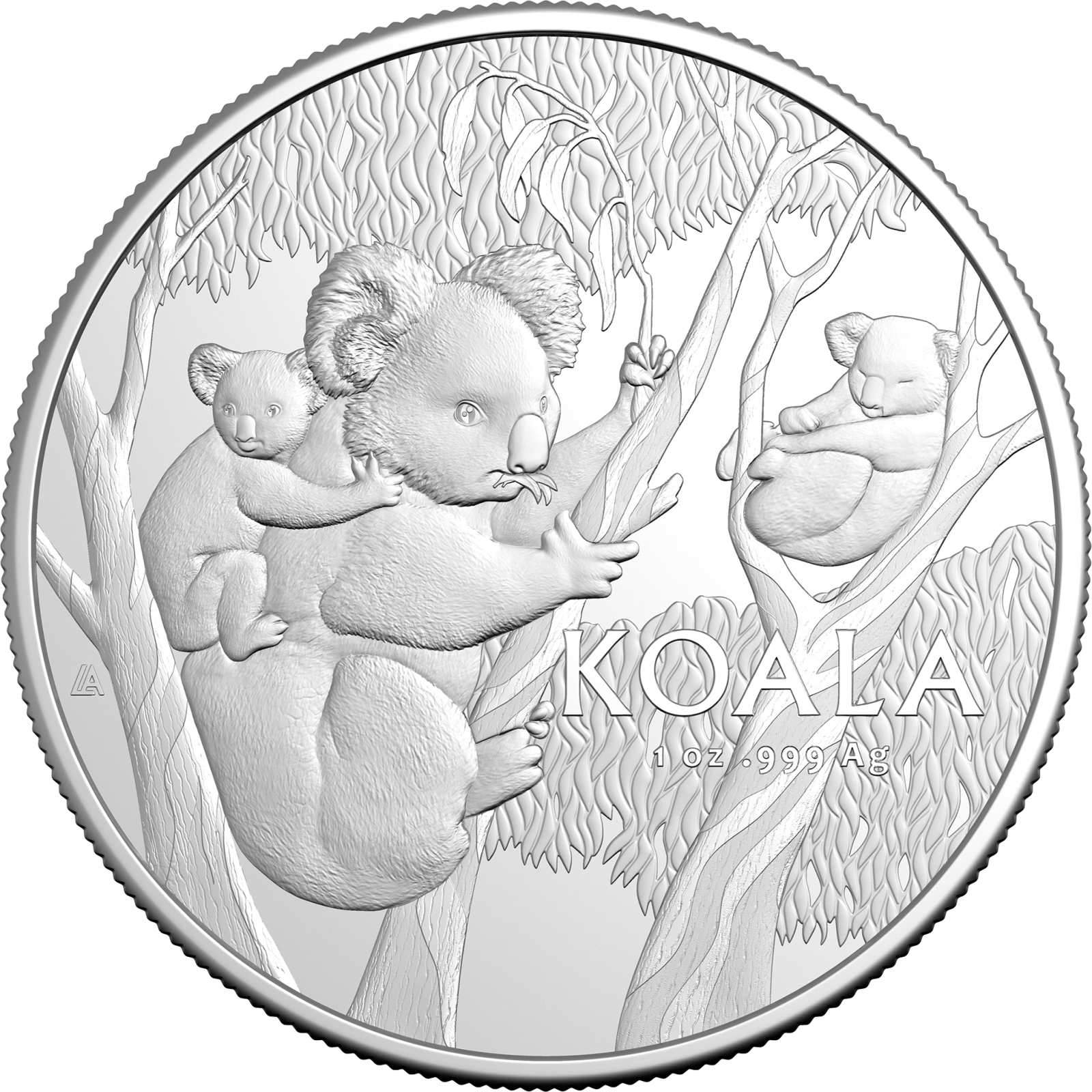 The Koala Returns: Introducing the 2026 Koala Series | Royal