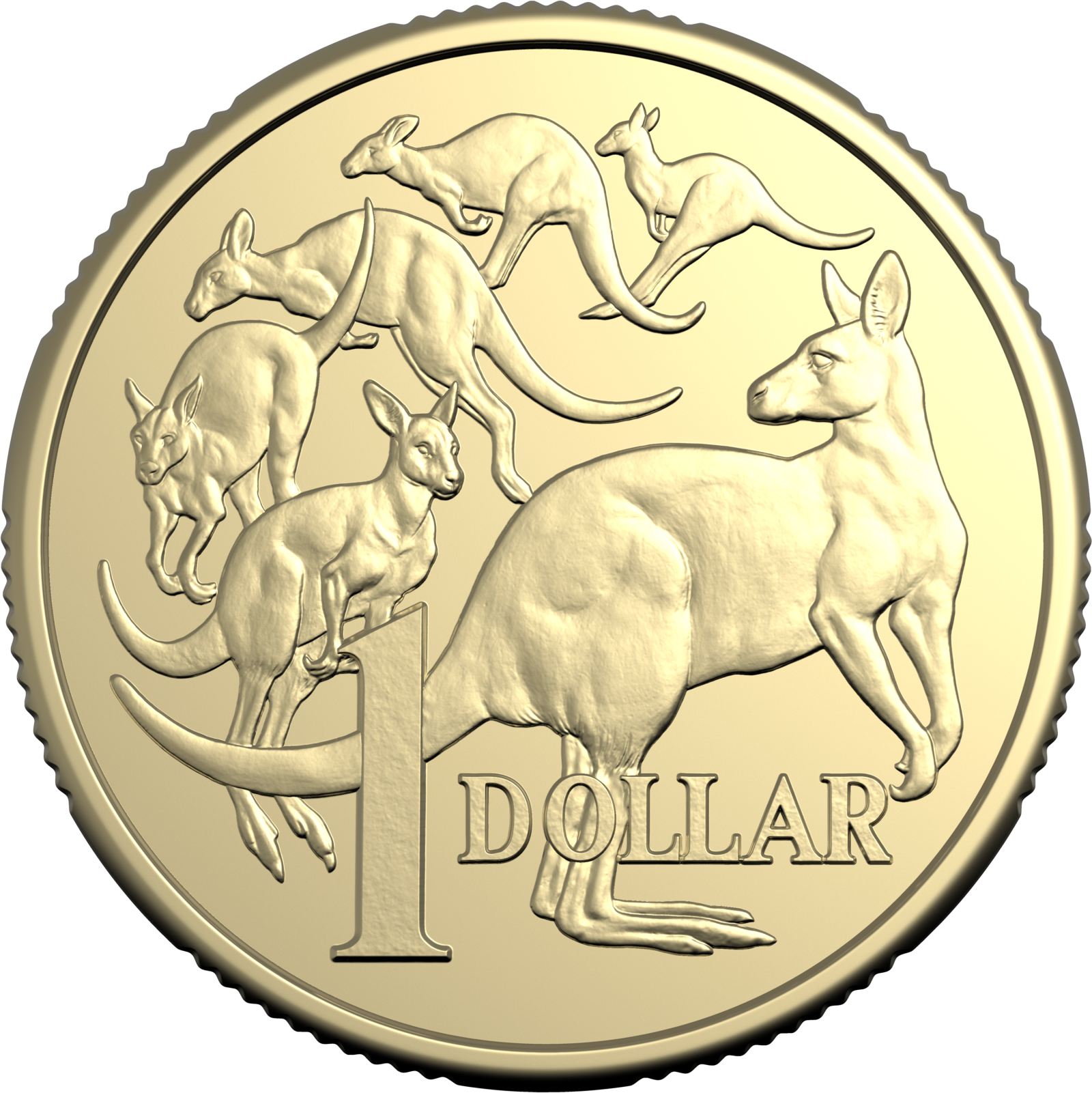 Mob of Six kangaroo circulating coin