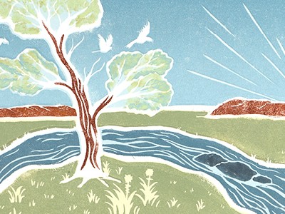 International Year of Rangelands and Pastoralists