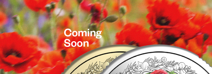 poppy-wreath-coming-soon