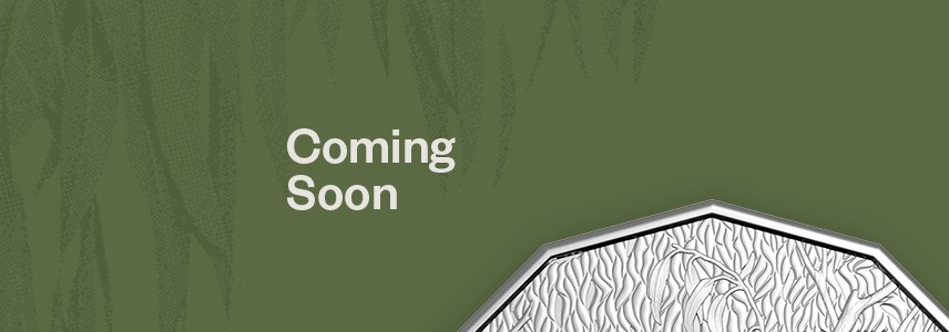 2026 Koala Coin Coming Soon